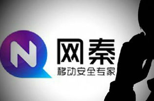 不透明的网秦，终被股民弃如敝履